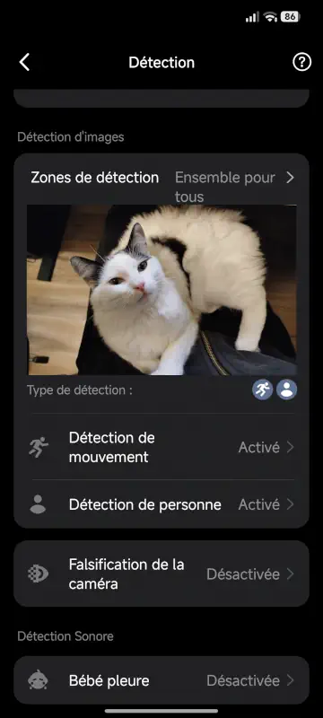 Application Tapo sur caméra Wifi C210 paramètres détection