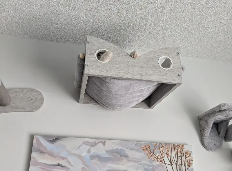 Un chat installé sur un module mural en appartement.